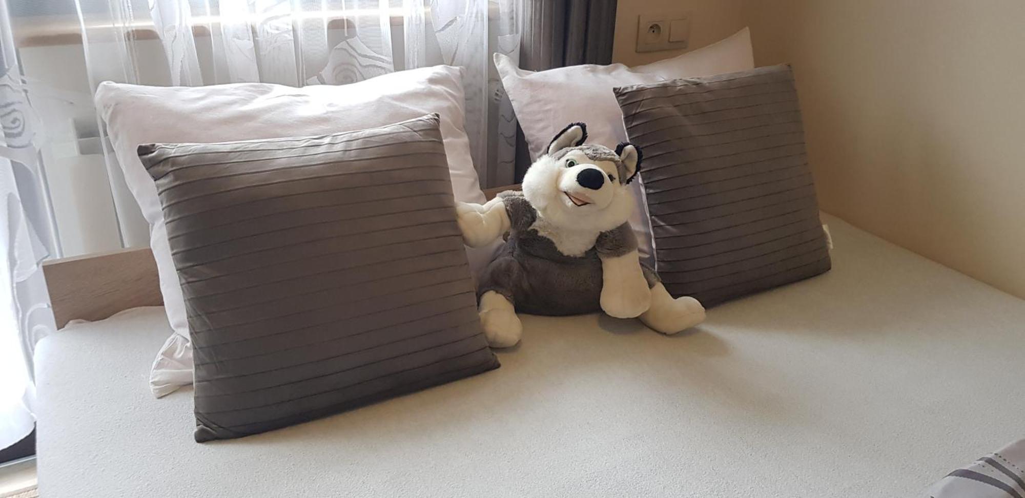 Pokoje Apartamenty Pod Limba ザコパネ エクステリア 写真